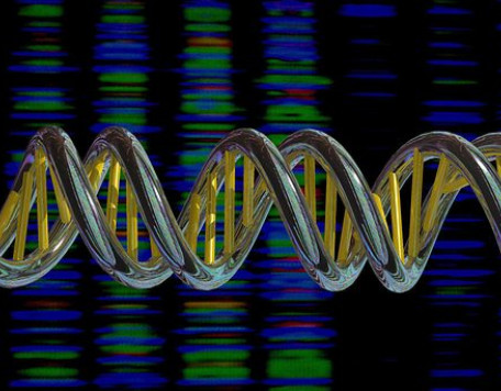 YW004874B DNA double helix and sequencing output v2