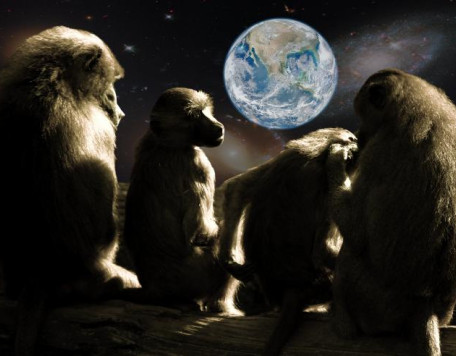 apes planet