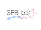 SFB 1551